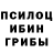 Галлюциногенные грибы Magic Shrooms TENY