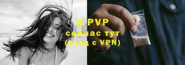 молекула духа Ахтубинск